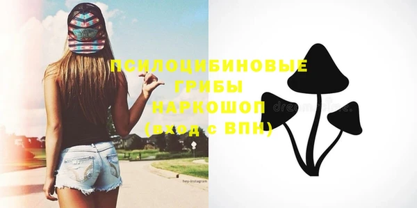 винт Баксан