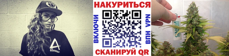 OMG маркетплейс  Краснотурьинск  Канабис конопля 